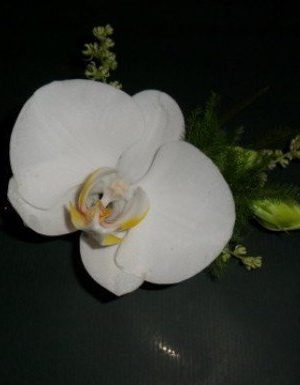 butoniera-s-falenopsis